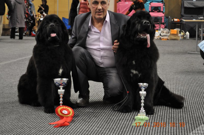 Фотография № 199604