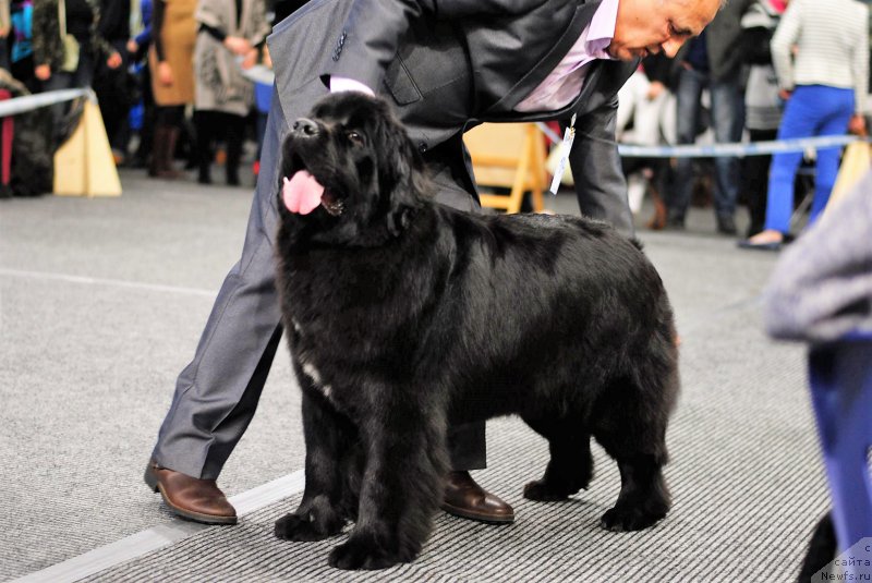 Фотография № 199605