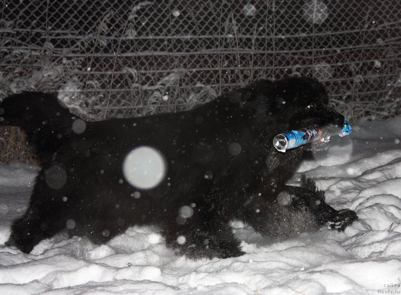 Фотография № 199612