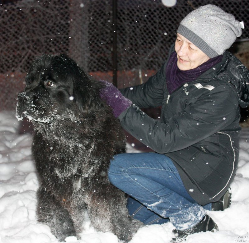 Фотография № 199613