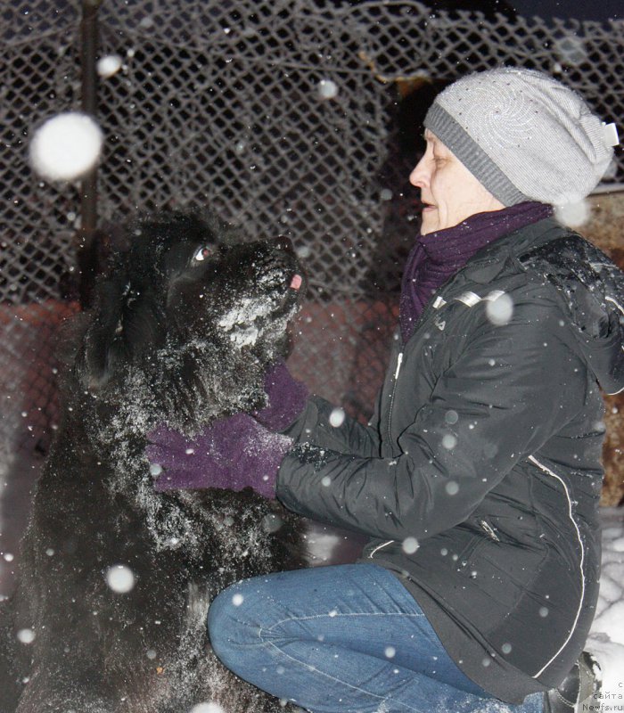 Фотография № 199614