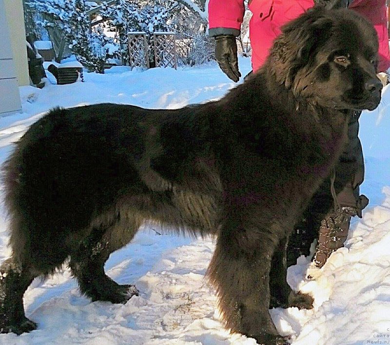 Фотография № 199617