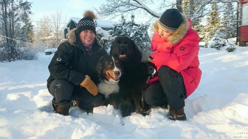 Фотография № 199619