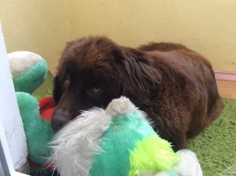 Фотография № 199669