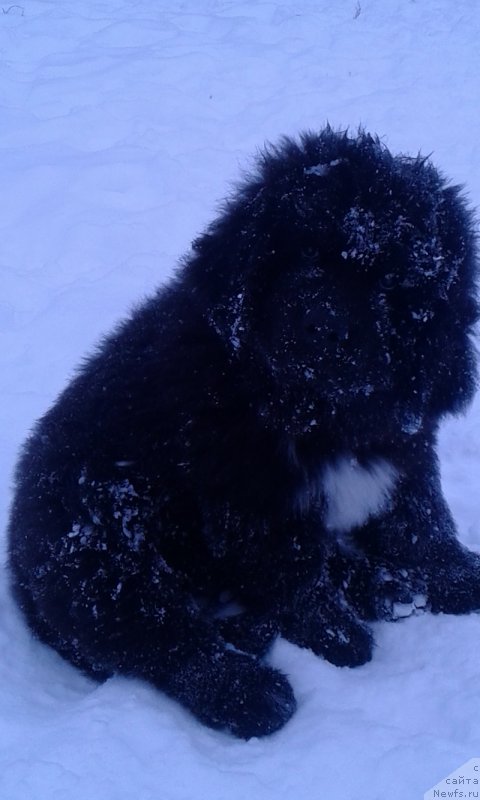 Фотография № 199677