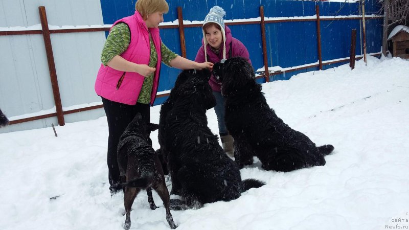 Фотография № 199680