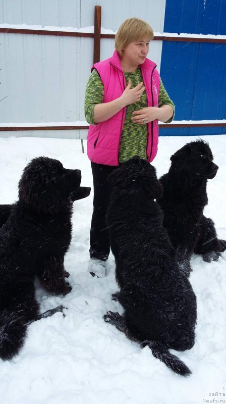 Фотография № 199681