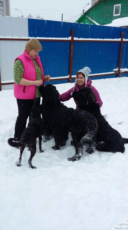 Фотография № 199682