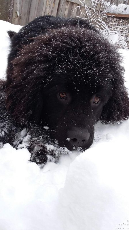 Фотография № 199683