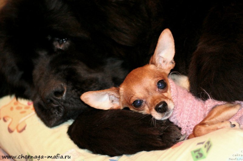 Фотография № 199705