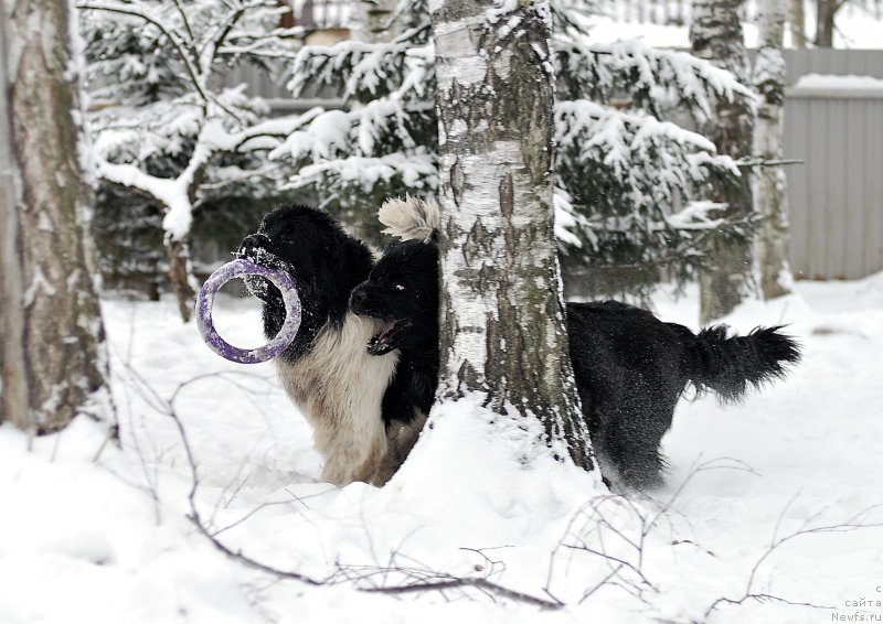 Фотография № 199709