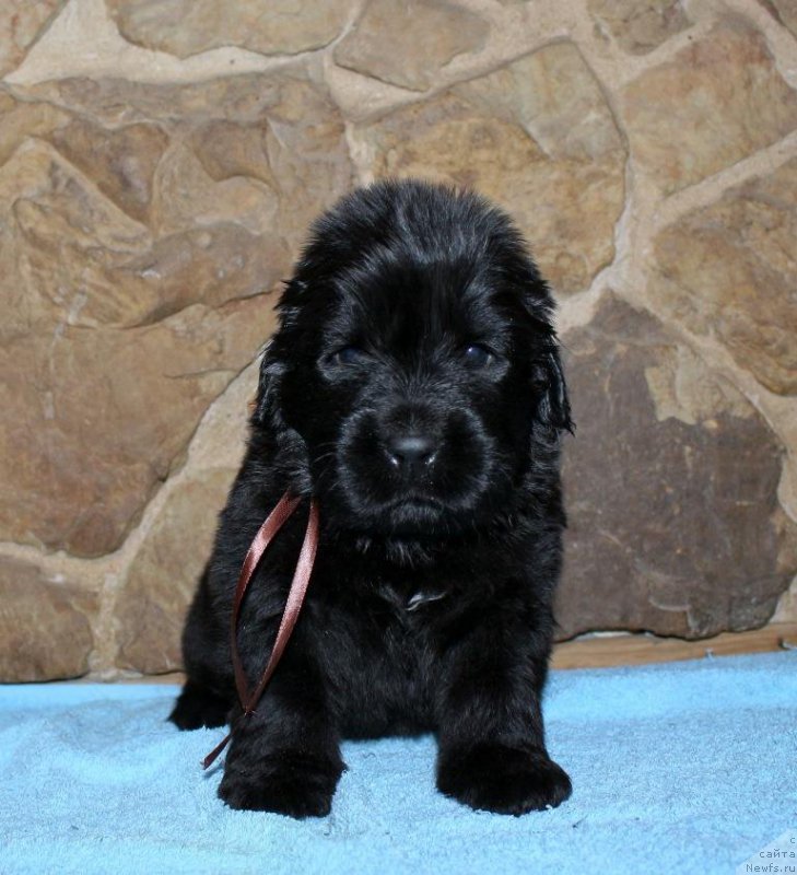 Фото: Виктор Хрищанович