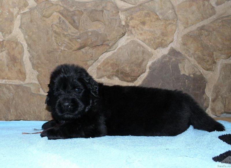 Фотография № 199722