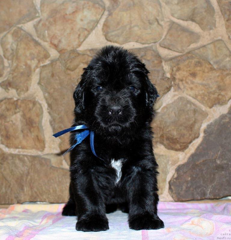 Фото: Виктор Хрищанович