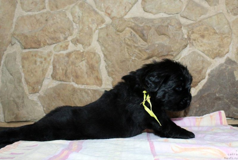 Фотография № 199737