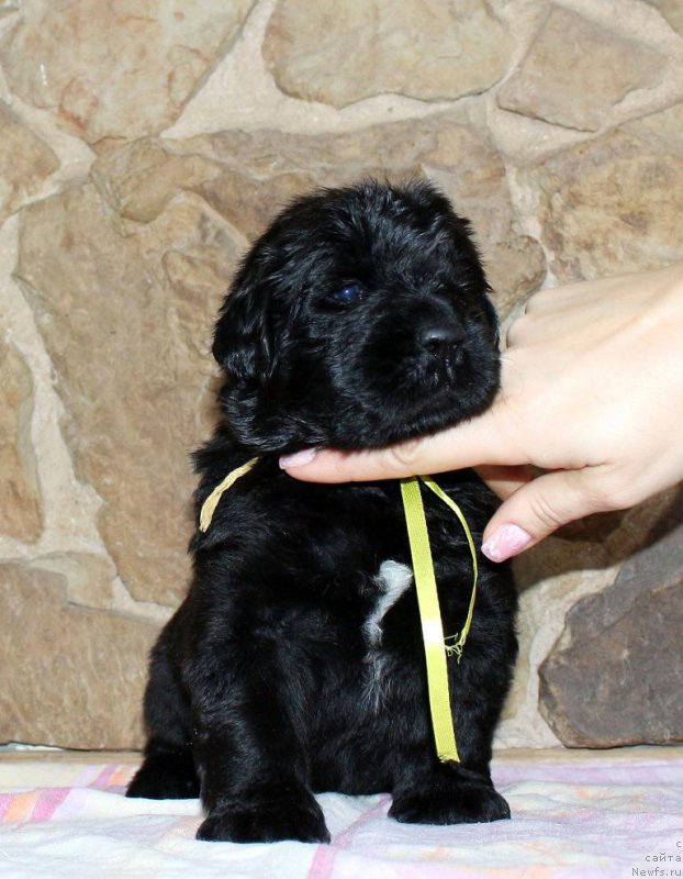 Фото: Виктор Хрищанович