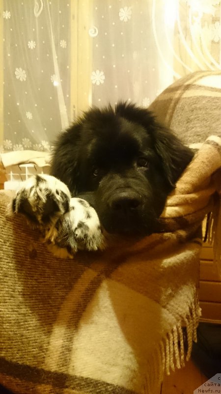 Фотография № 199762