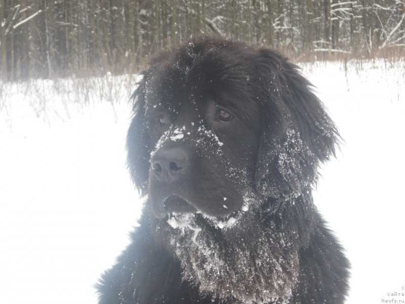 Фото: Наталья Смазчикова