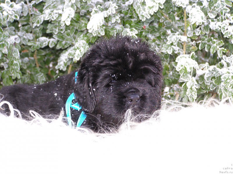 Фотография № 199793