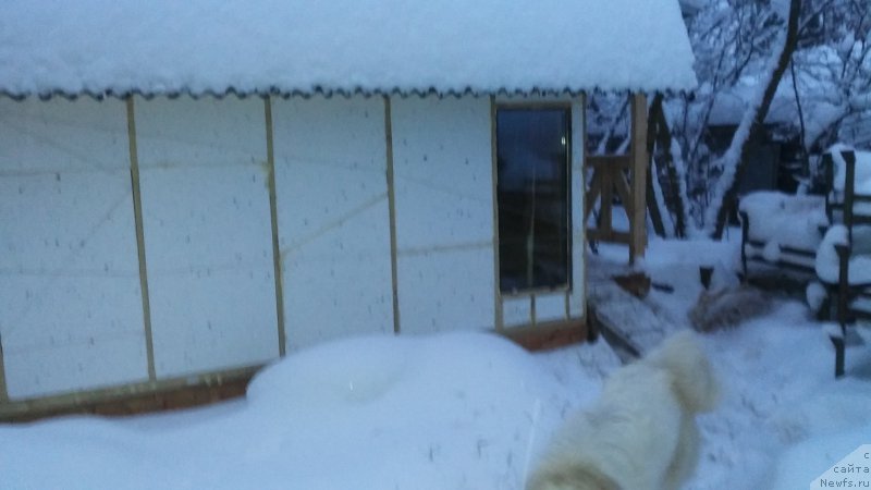 Фотография № 199807