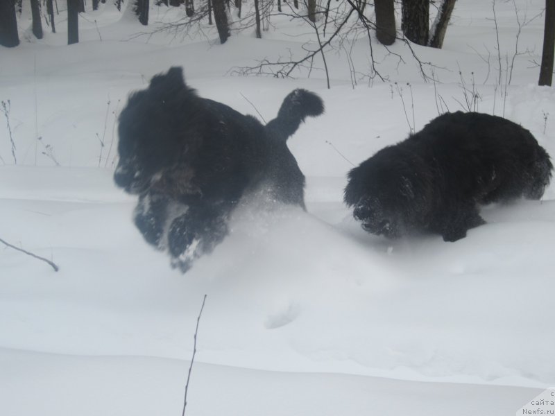 Фото: Наталья Смазчикова