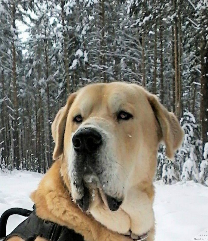 Фотография № 199812