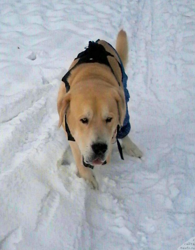 Фото: Лена Зырина