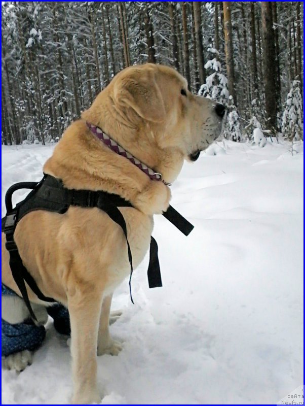 Фото: Лена Зырина