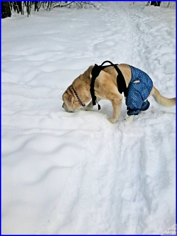 Фотография № 199824