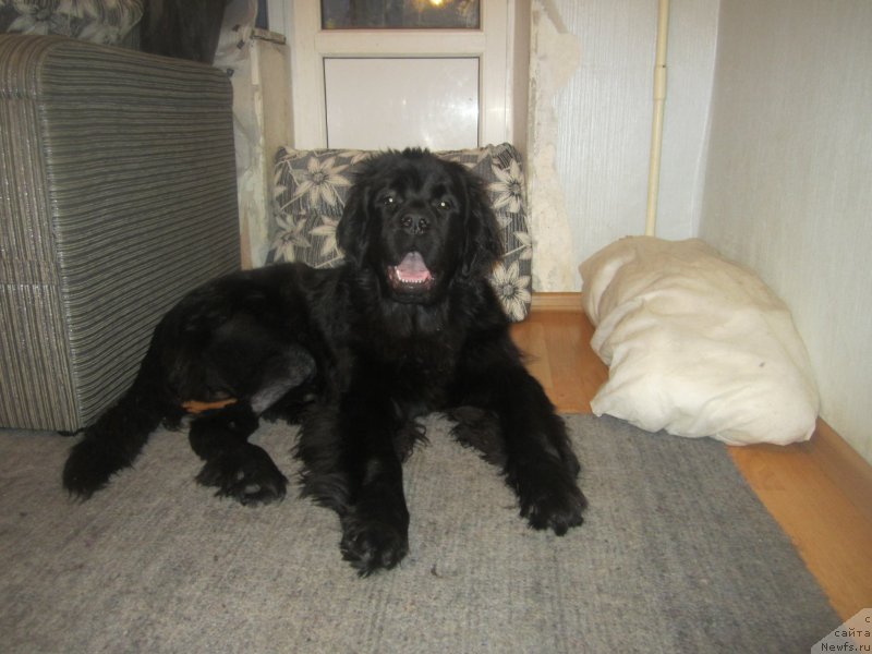 Фото: Наталья Смазчикова