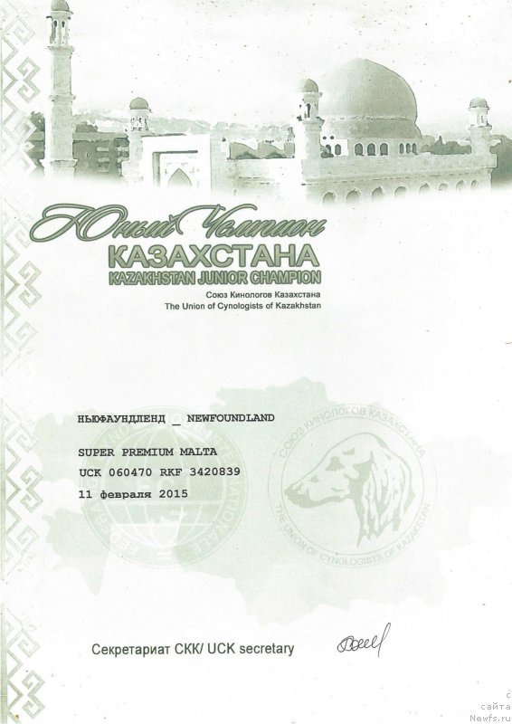 Фото: ньюфаундленд Супер Премиум Мальта