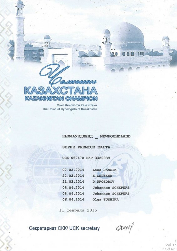 Фото: ньюфаундленд Супер Премиум Мальта