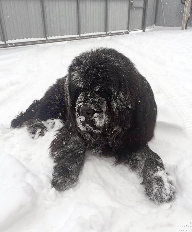 Фотография № 199867