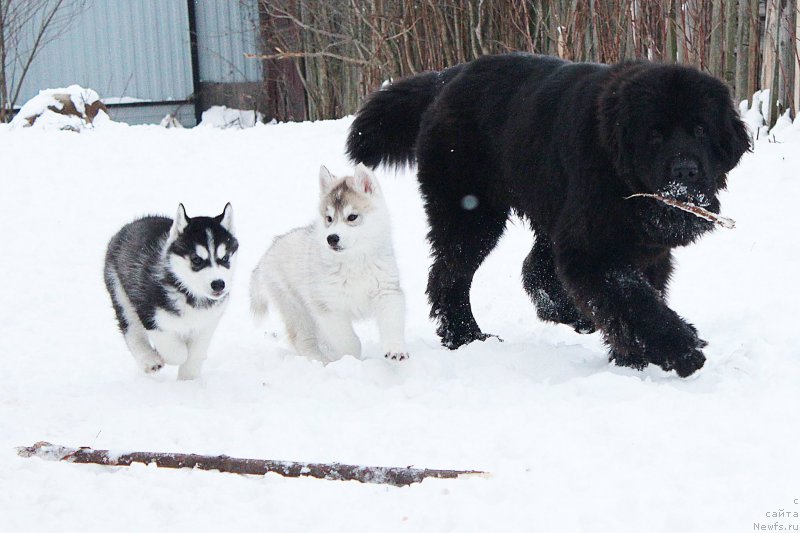 Фотография № 199869