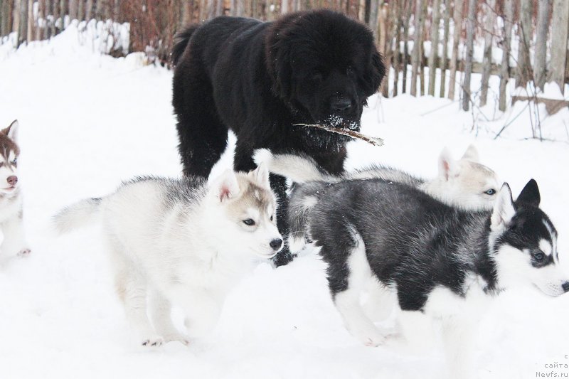 Фотография № 199870