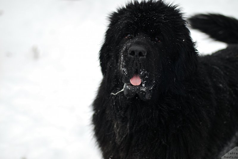 Фотография № 199871