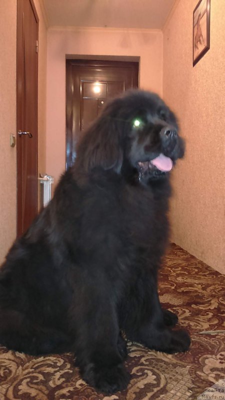 Фотография № 199876