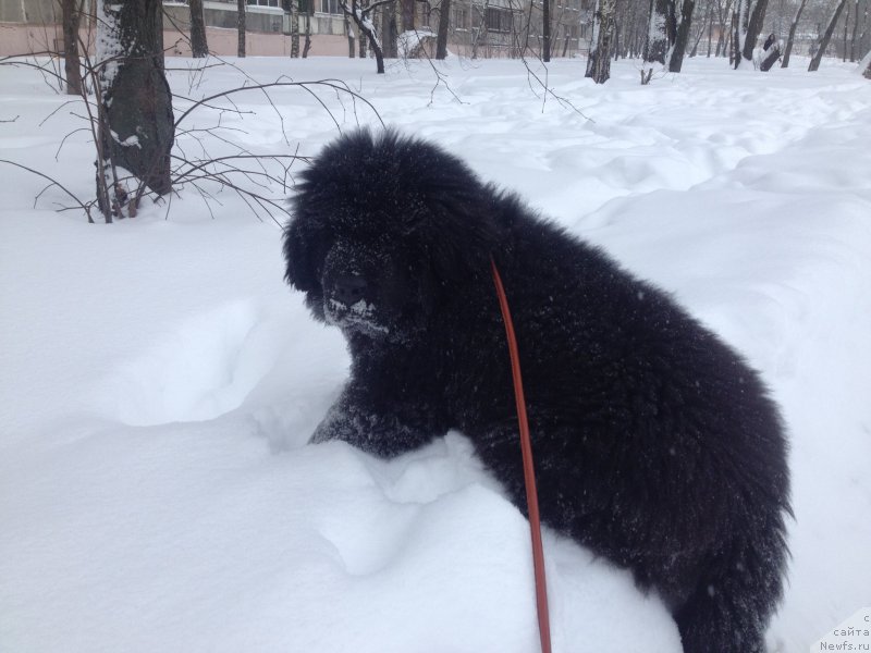Фото: Дмитрий Цаплин