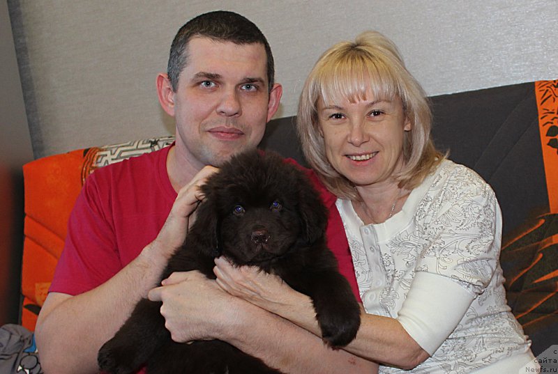 Фото: Александр Коротаев, Леночка, ньюфаундленд Браунблад МСК Сэмми Лесс