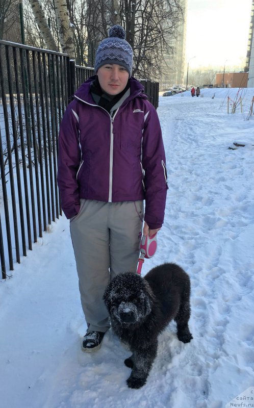 Фотография № 199899