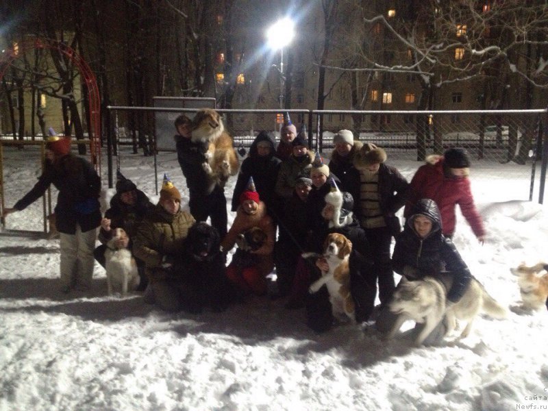 Фотография № 199901