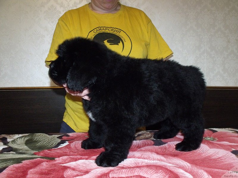 Фотография № 199903