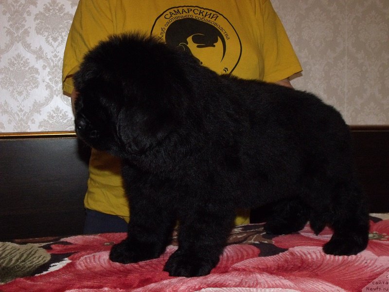 Фотография № 199906