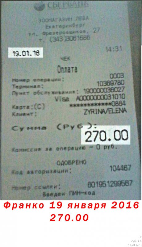 Фото: Лена Зырина