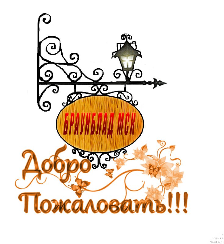 Фото: Александр Коротаев