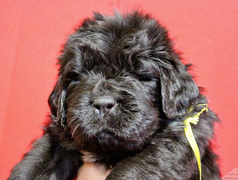 Фото: Виктор Хрищанович