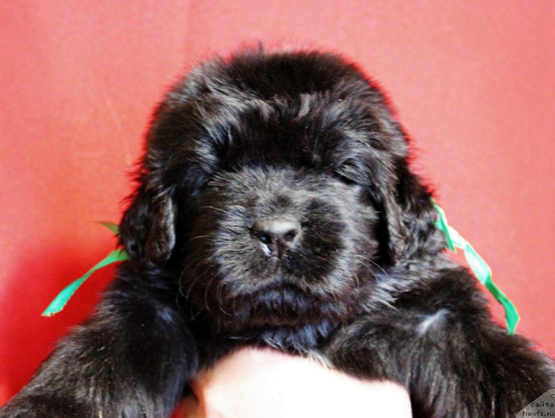 Фото: Виктор Хрищанович