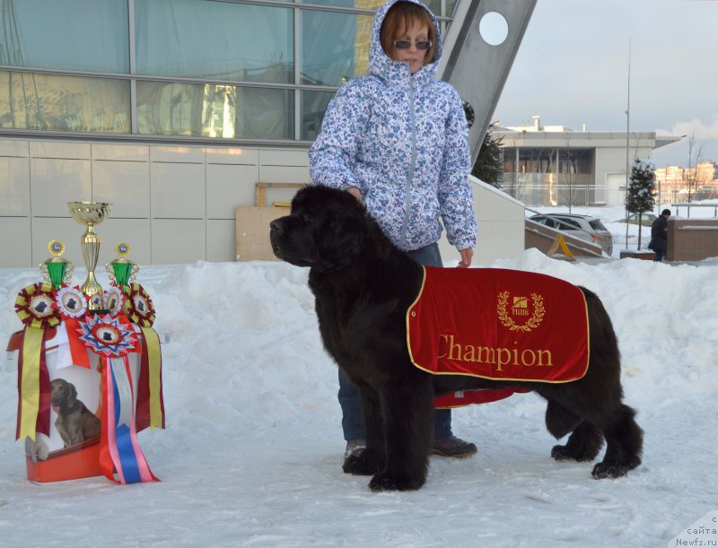 Фотография № 199983