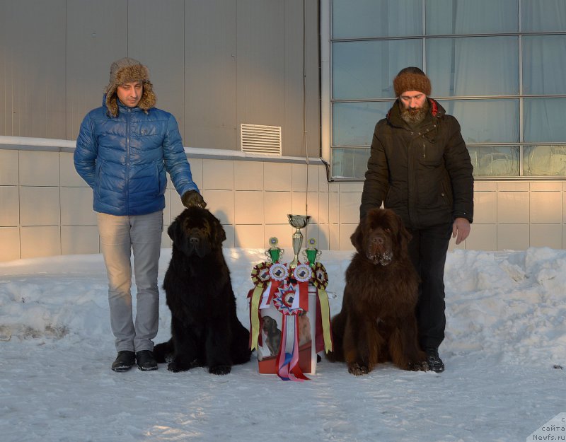 Фотография № 199984