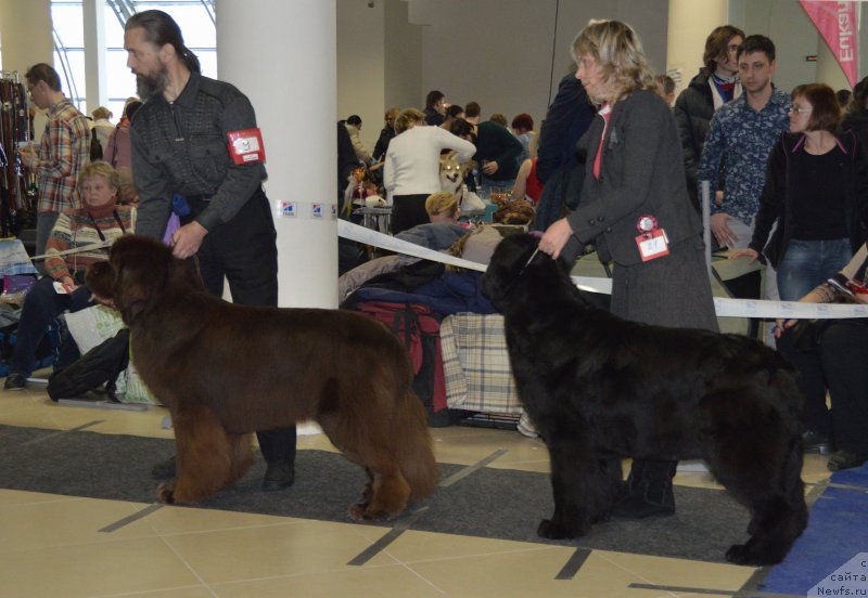 Фотография № 199986